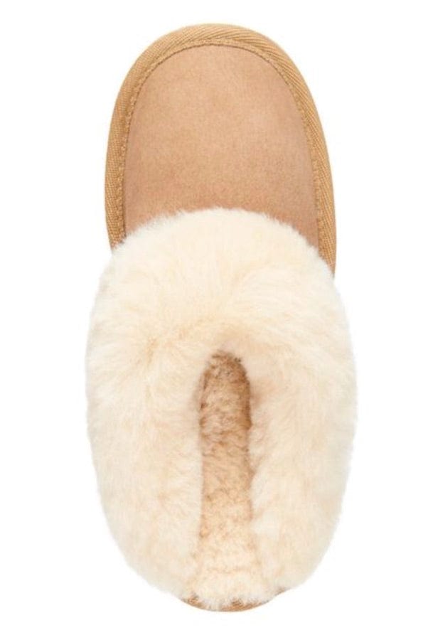 Emu Australia Platinum Eden Chestnut Slippers